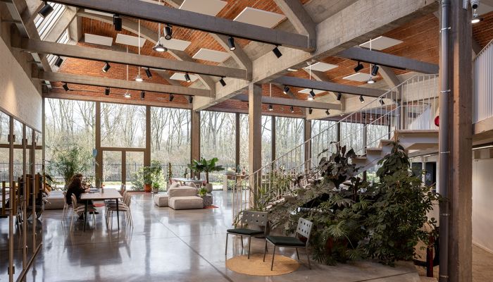 1905 HEL 260317 website 08